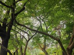 -浙江大学(玉泉校区)