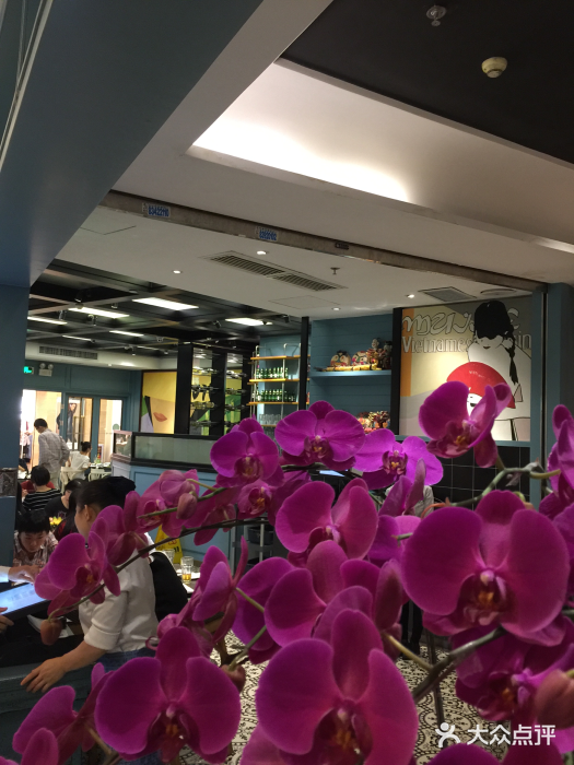 美奈小馆·越南料理(福田星河COCO Park店)大堂图片