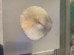 -中国（海南）南海博物馆