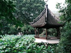 -上海醉白池公园