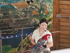 -燕塞湖鸟语林景区