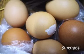 Fertilized Duck Egg (Live Pearl)