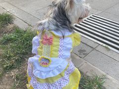 -小意思咖啡店(草桥店)