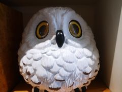 -PAGEONE(北京坊店)
