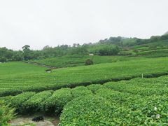 -优游吧斯邹族文化部落