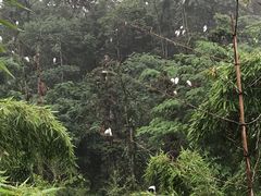 -下渚湖国家湿地公园科普馆