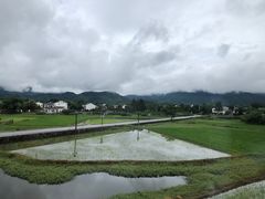 -黄牛肉馆·皖南土菜