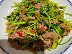 -壹盏灯(惠农店)