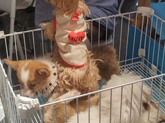 -汇德隆银隆