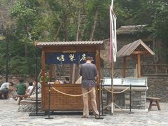 -古北烤梨