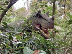 -海南热带野生动植物园