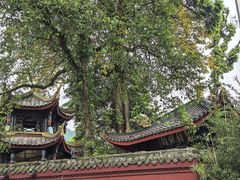 -峨眉山报国寺