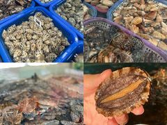 -白沙门生态公园