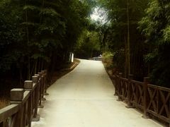android_upload_pic-广州市石门国家森林公园