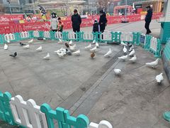 -大族广场Mall&More