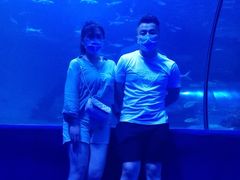 -左海海底世界