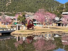 -丽江泸沽湖景区-里格半岛