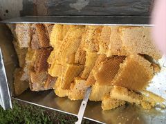 -泸沽湖国家级风景名胜区走婚桥