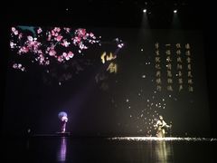 -合肥大剧院