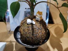 -Onirii Coffee(长乐路店)