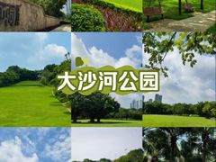 -大沙河公园