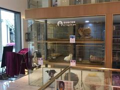 -悠尼宠物·独立低压伊珊娜洗护·美容·寄养(兰谷路店)