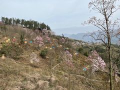 -九皇山景区