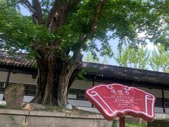 -苏州文庙(姑苏区)