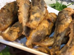 -东北农家饺子村(昌平路店)