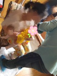 -龙文宝贝上门婴儿理发满月剃胎毛(总店)