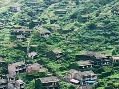 -枸杞岛