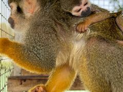 -水上乐园·欢乐世界