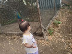 -意大利农场度假村