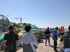 -汤山公园