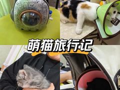 -亚宠动物医院·芭比堂宠物医院(盘龙店)