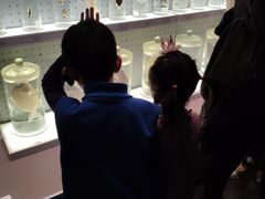 -贝林大翅鲸简餐厅(国家海洋博物馆店)