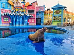 -华夏文旅海洋公园