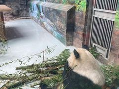 -大青山野生动物园