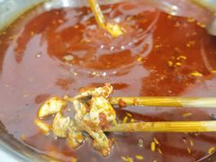 -水碾河肥兔火锅(水碾河店)