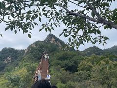 -大岭沟猕猴桃谷风景区