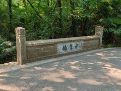 -灵谷景区