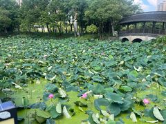 -凤城河风景区