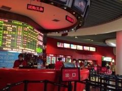 -奥斯卡升龙国际影城(RealD Cinema)