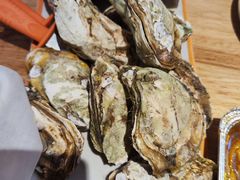 -蚝当家·海鲜龙虾烧烤(文二路原开蚝屋店)