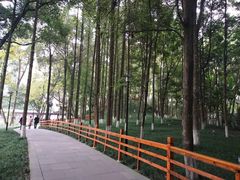 -温江公园