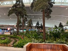 -青岛胶东国际机场