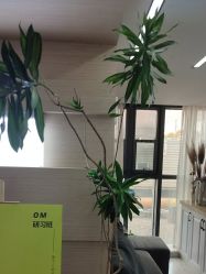 -OM瑜伽教练培训学院
