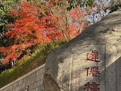 -青岛崂山太清宫