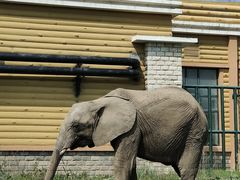 -哈尔滨北方森林动物园