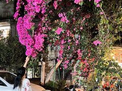 -光明刘冰乳鸽店(光明法政北路店)